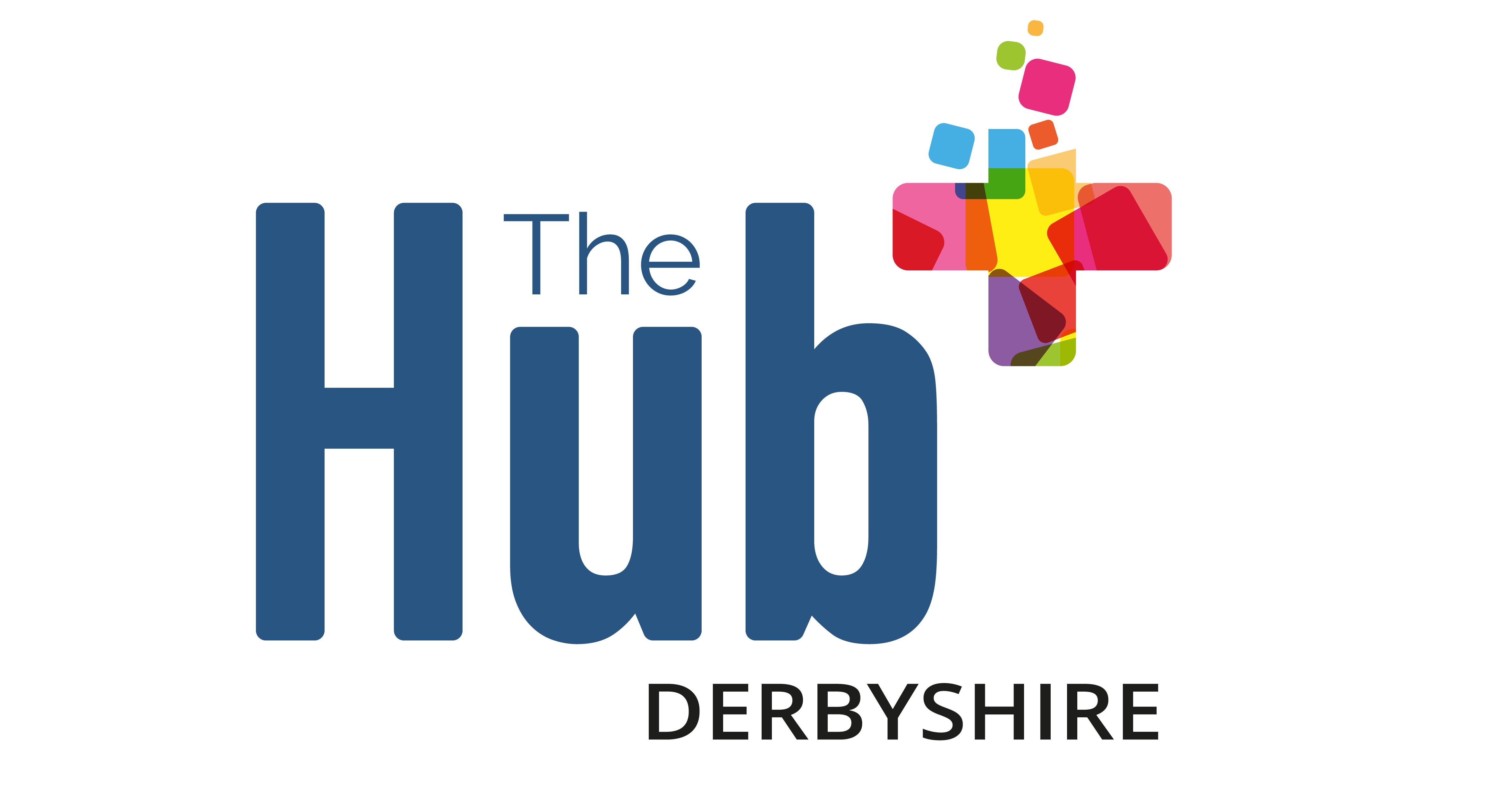 HUB PLUS Logo-PNG.png (132 KB)